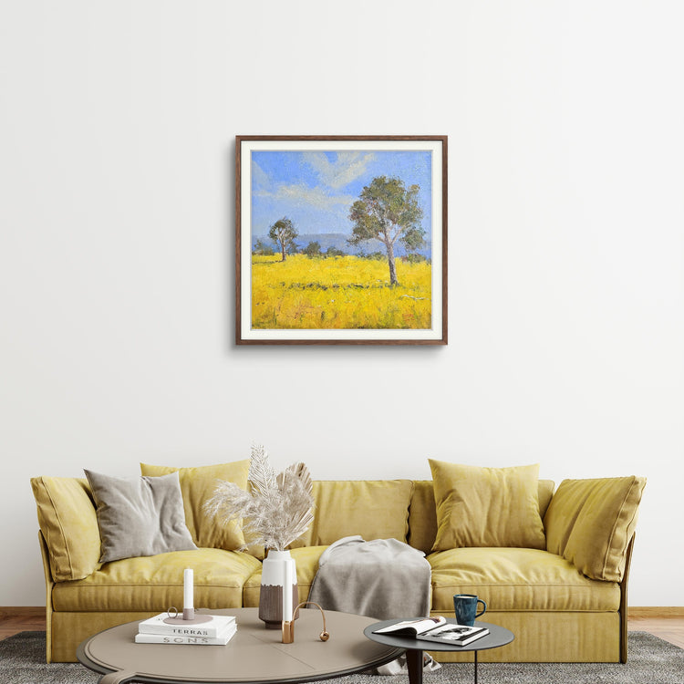 Canola Fields, You Yangs