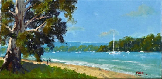Noosa River Dreaming