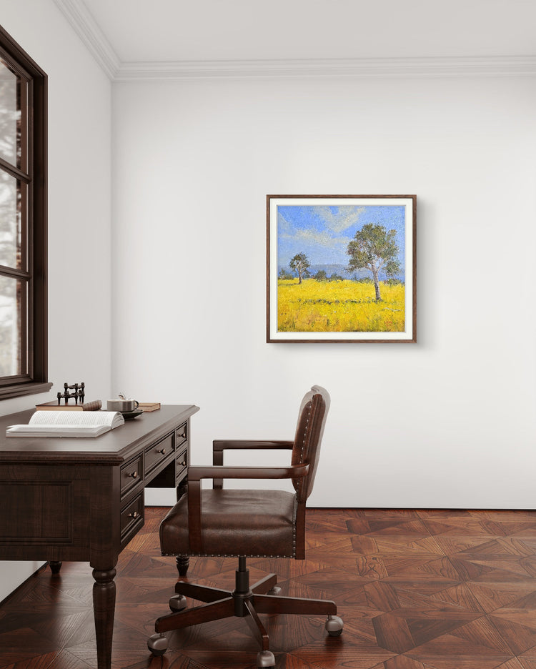 Canola Fields, You Yangs