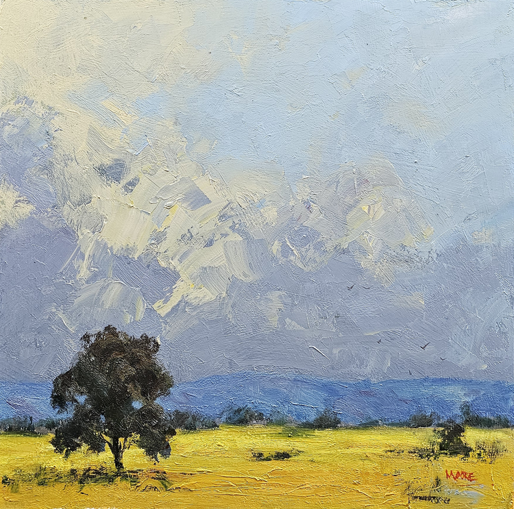 Storms Pending Over Canola Fields, You Yangs