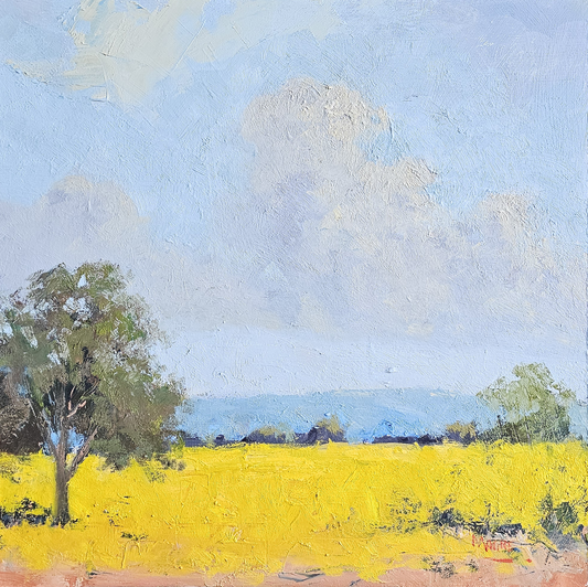 Clouds Forming Canola Fields, You Yangs