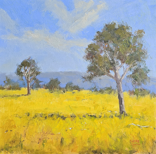 Canola Fields, You Yangs