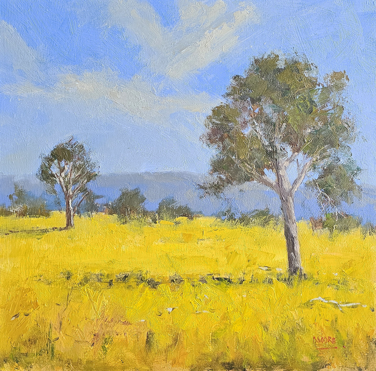 Canola Fields, You Yangs