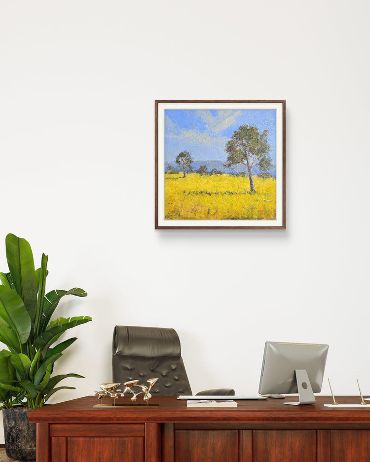 Canola Fields, You Yangs