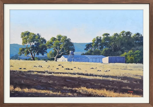 Shearing Season at the Grampians