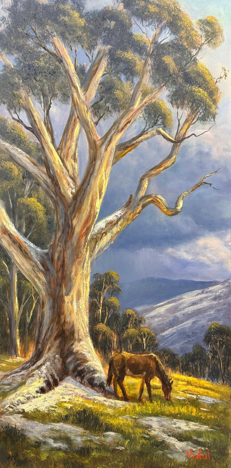 68d60d0aa4f9d76a8641446d_2026p820-the-last-graze-kosciuszko-brumby-oil-painting-christopher-vidal_1790572739733.jpg