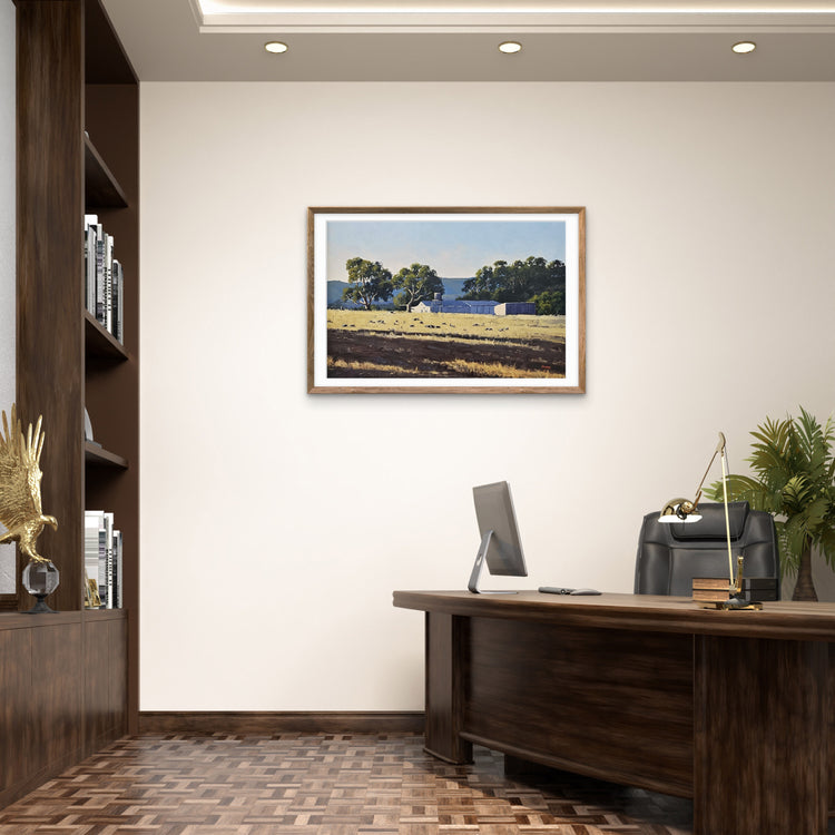 Shearing Season at the Grampians