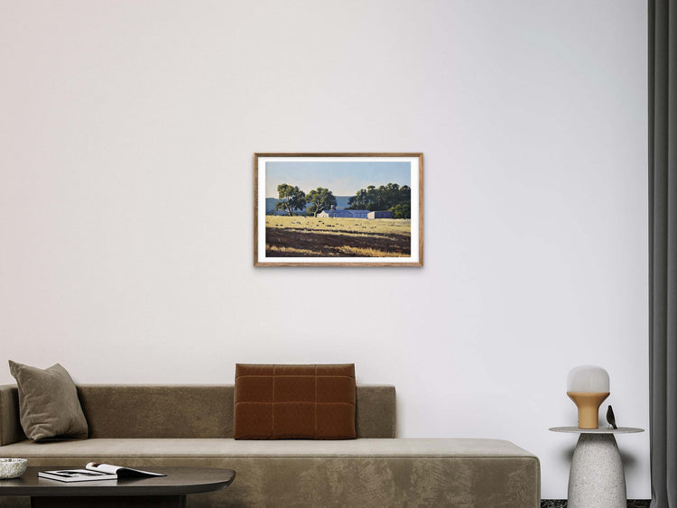 Shearing Season at the Grampians