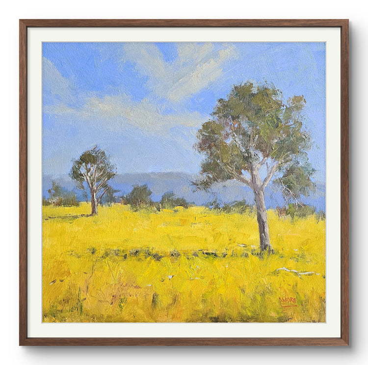 Canola Fields, You Yangs