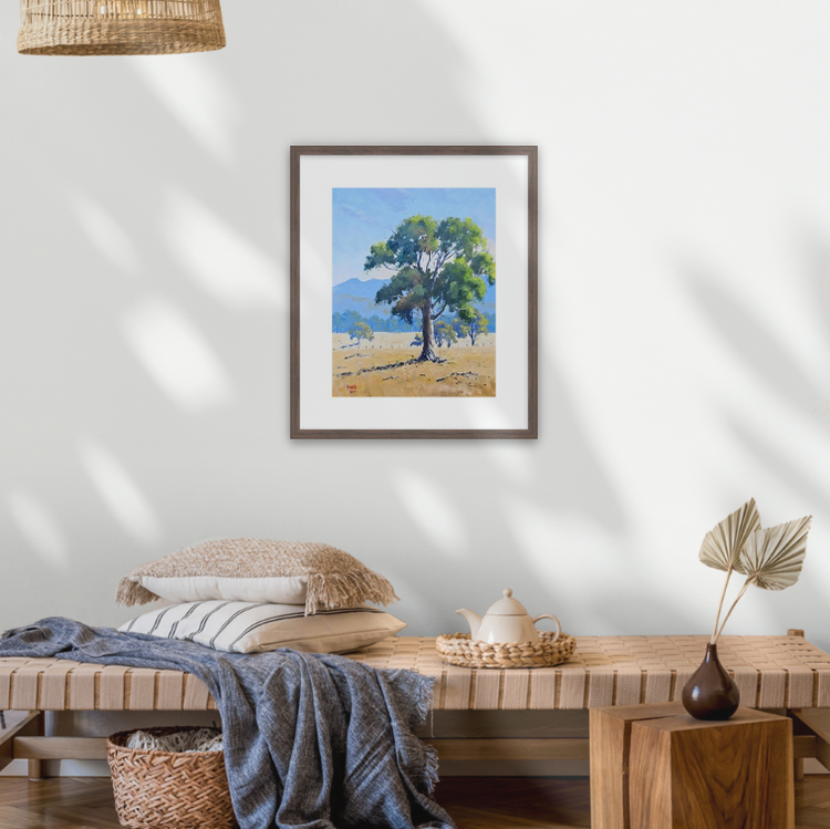 Grampians Gum - Limited Release Framed Print