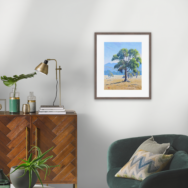 Grampians Gum - Limited Release Framed Print