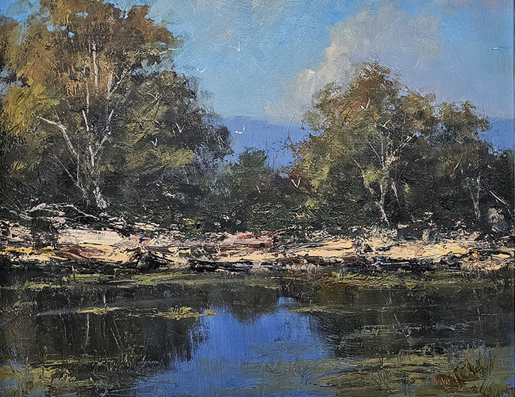 Waterhole After Passing Rain