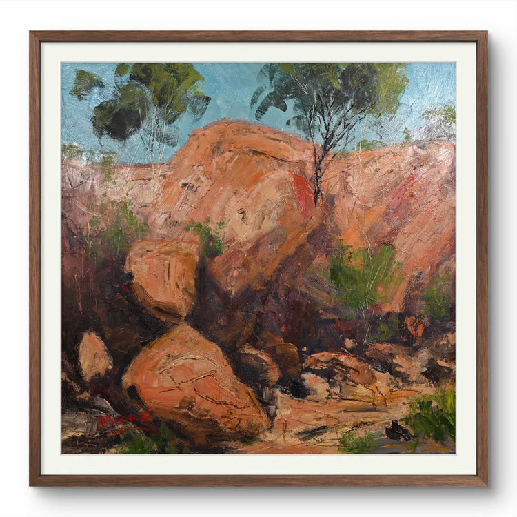 Carnarvon Gorge Walk