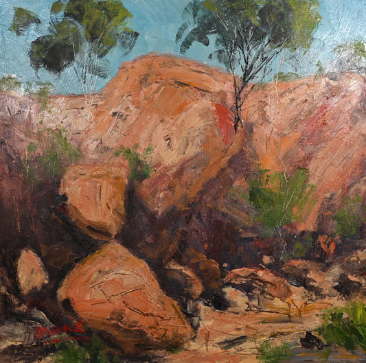 Carnarvon Gorge Walk