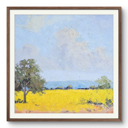 Clouds Forming Canola Fields, You Yangs