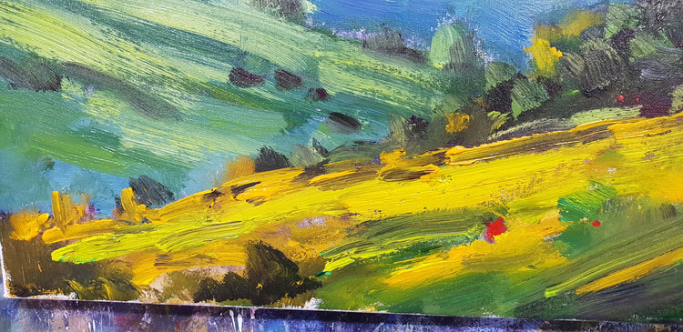 Noosa Hinterland Trails