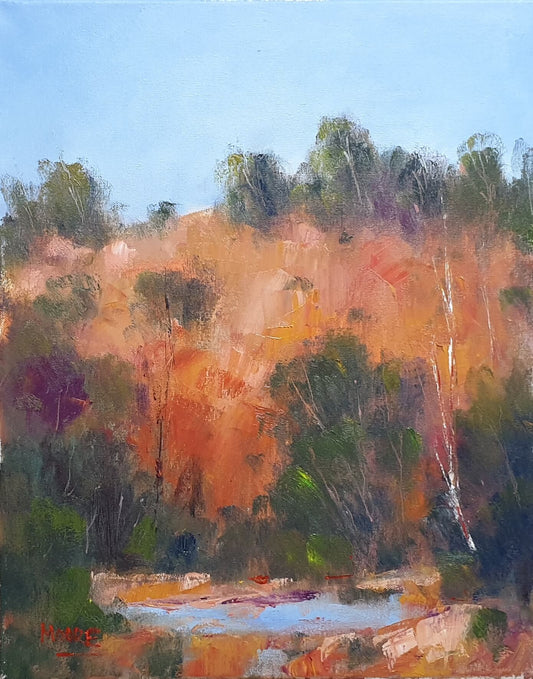 Hinterland Waterhole