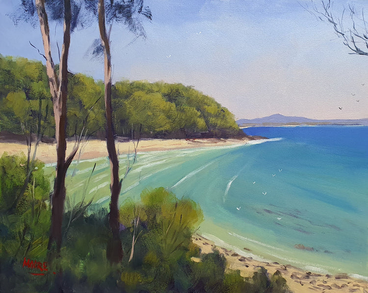 View To Tea Tree Bay