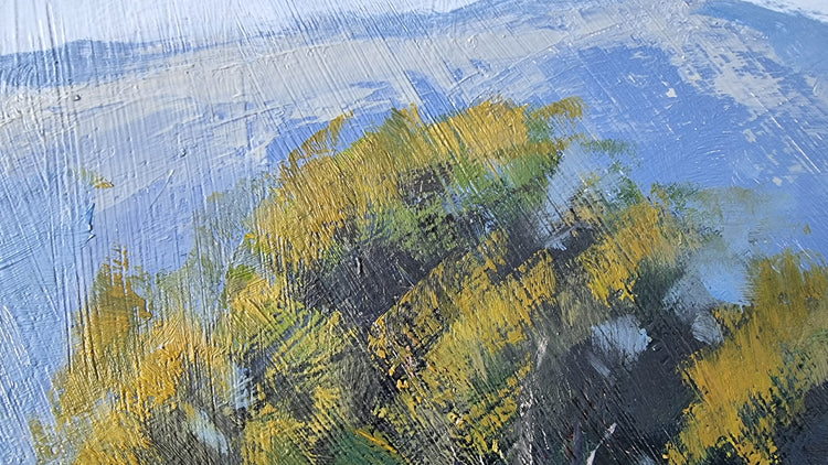 Glen Rowan Shearers Shed