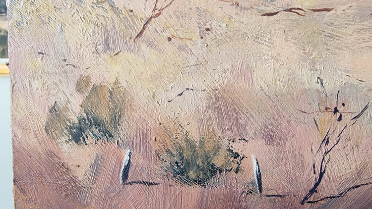 Glen Rowan Shearers Shed