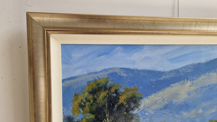 Glen Rowan Shearers Shed