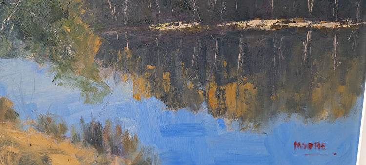 Coopers Creek Morning