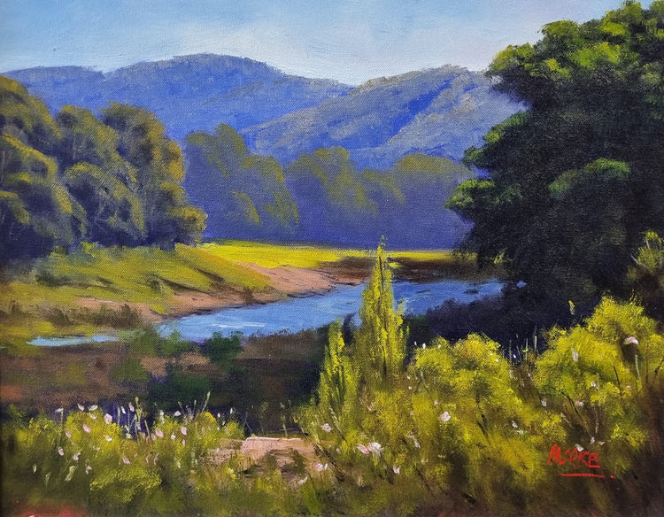 Mary River At Kenilworth