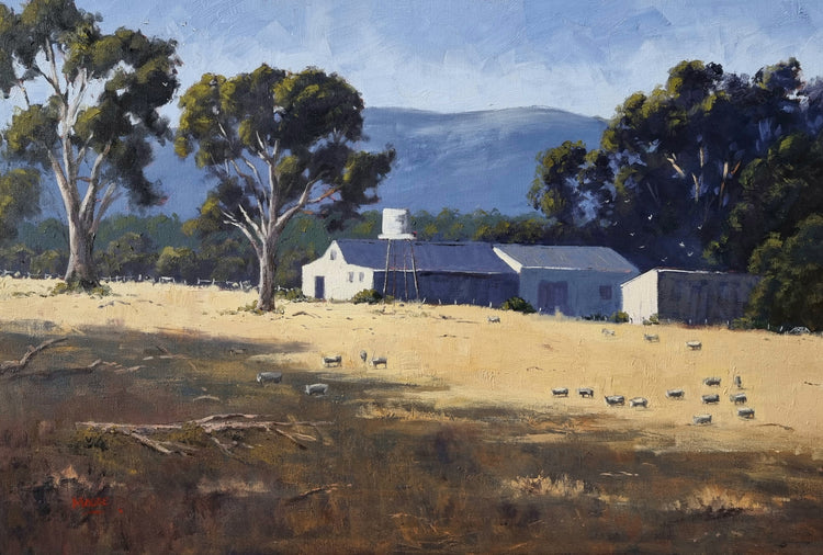 Southern Grampians Sheep Station