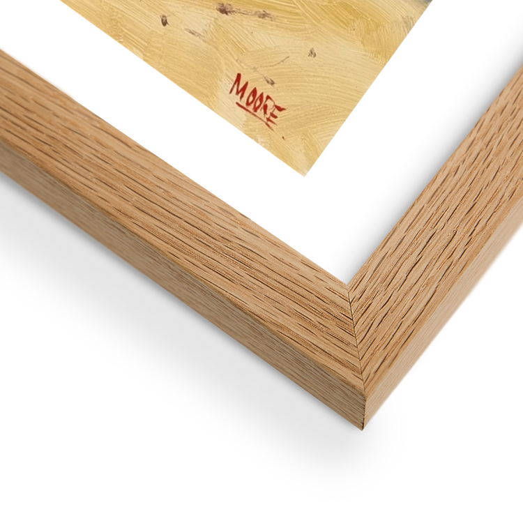 1770 Beach Framed Print