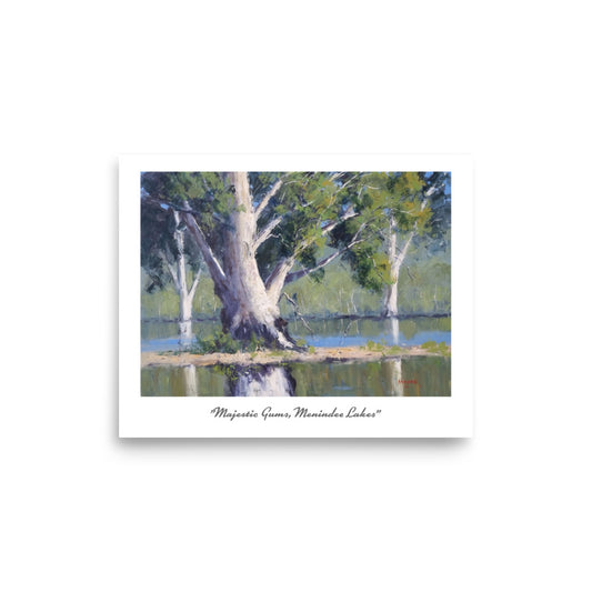 8 x 10" Print Majestic Gums Menindee Lakes