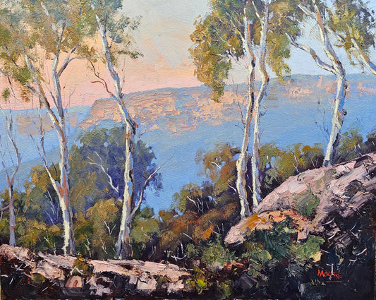 Sunset From Blackdown Tableland