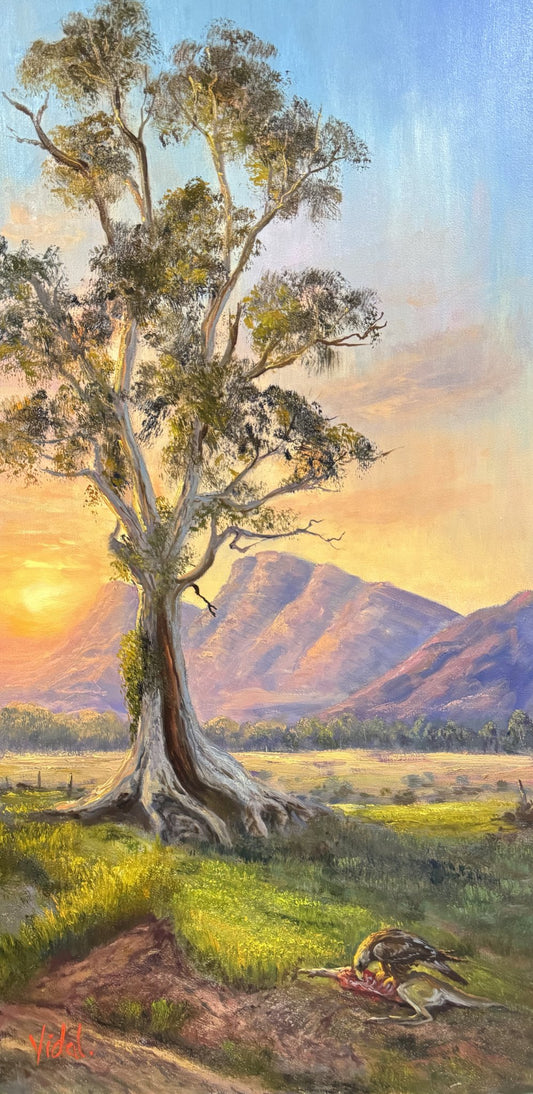 68d60d0aa4f9d76a8641446d_2026p718-guardian-of-the-flinders_1785234485619.jpg