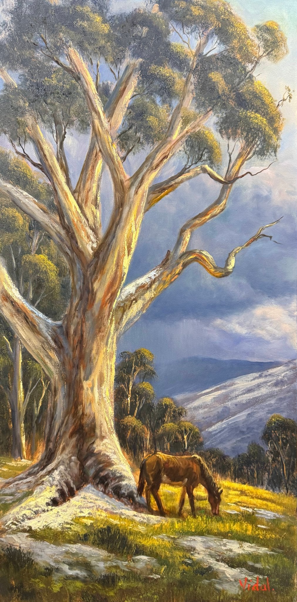 68d60d0aa4f9d76a8641446d_2026p820-the-last-graze-kosciuszko-brumby-oil-painting-christopher-vidal_1790572739733.jpg