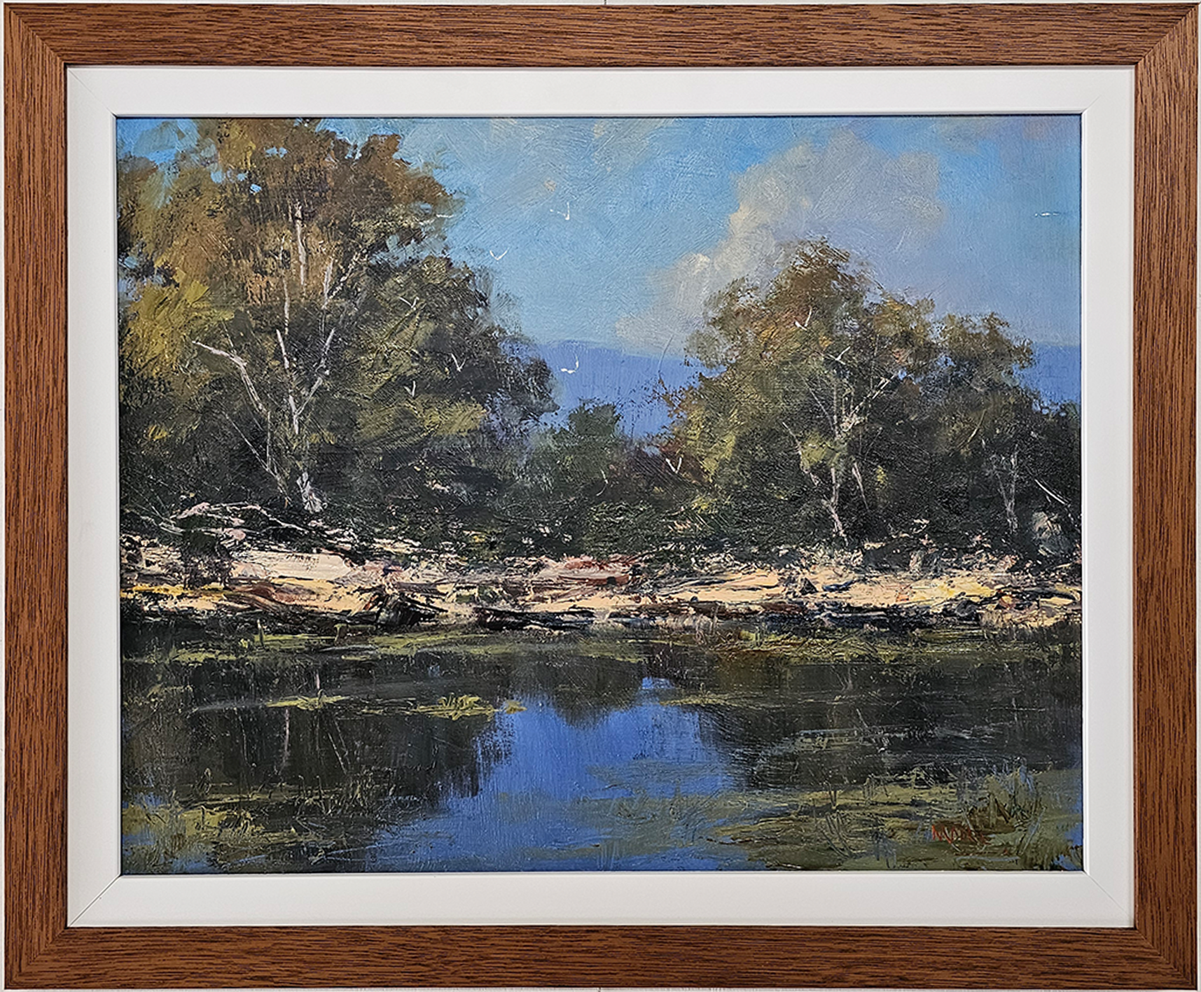 Waterhole After Passing Rain