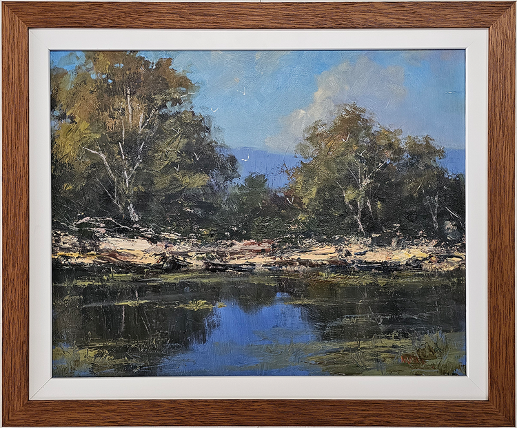 Waterhole After Passing Rain