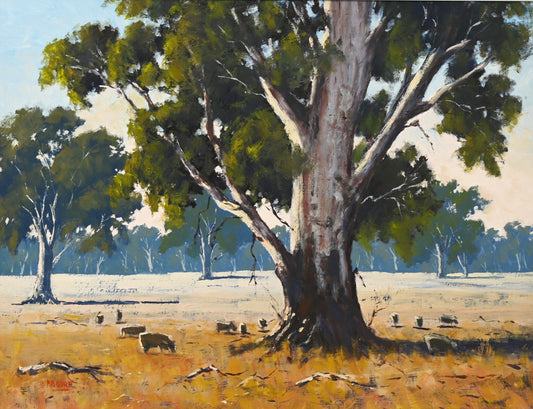 Morning Light, Benalla Plain