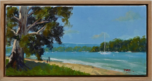 Noosa River Dreaming