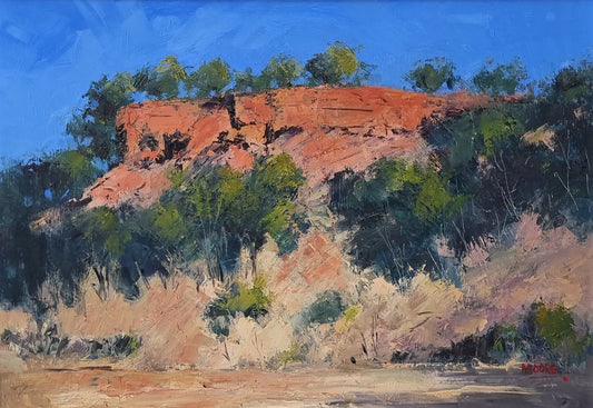 Baldy Top Quilpie