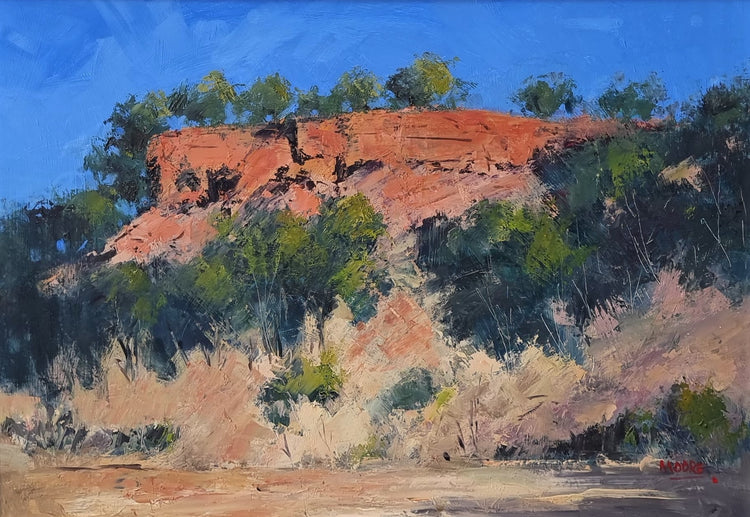 Baldy Top Quilpie