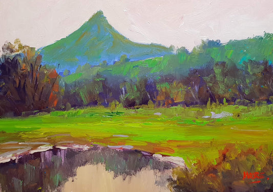 View Across Cooroy