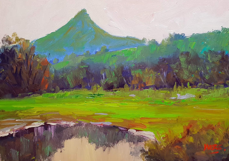 View Across Cooroy