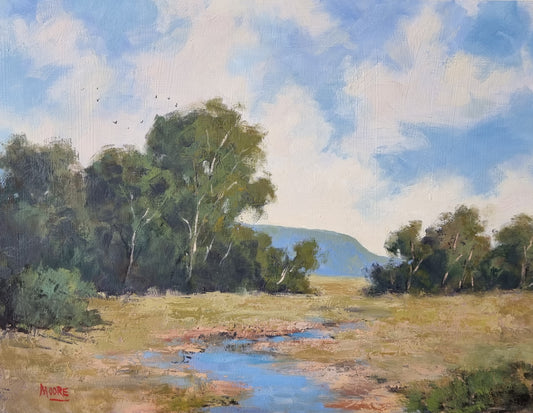 Passing Showers Near Kenilworth