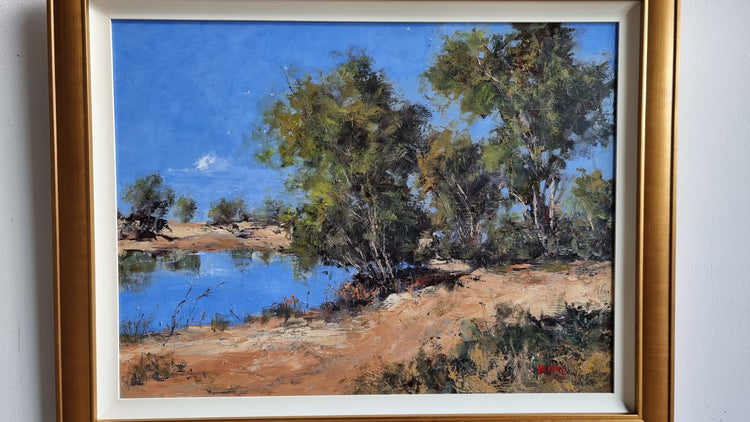 Banjo's Billabong Near Winton