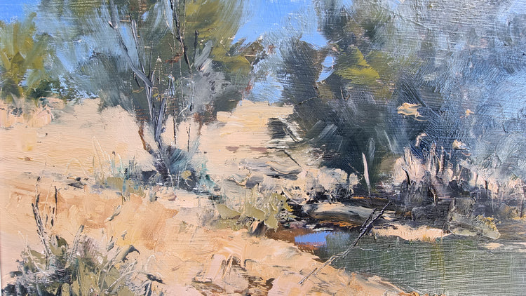 Winton Waterhole 1