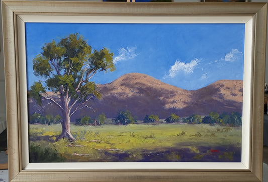 Near Wilpena Pound