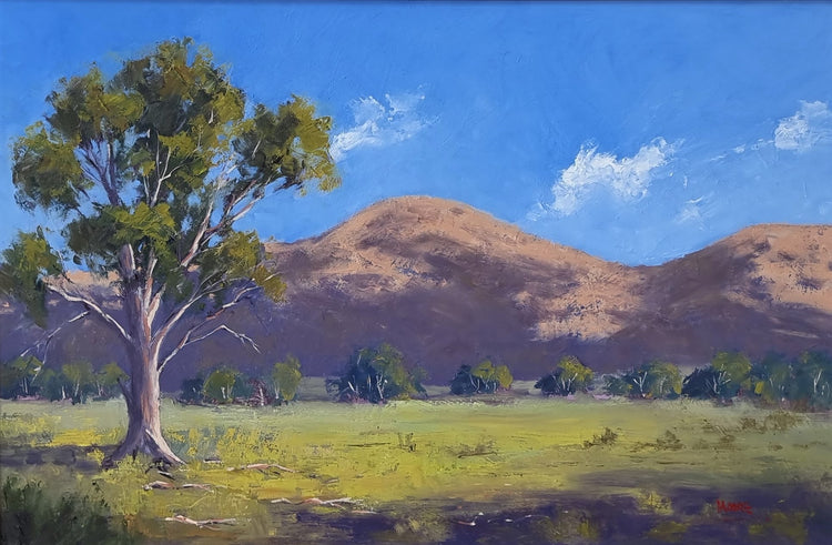 Near Wilpena Pound