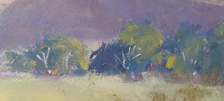 Near Wilpena Pound