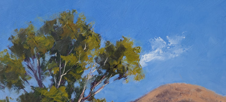 Near Wilpena Pound