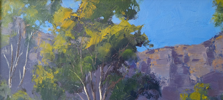 Gundabooka Gorge