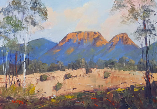 Mt Walsh Near Biggendan